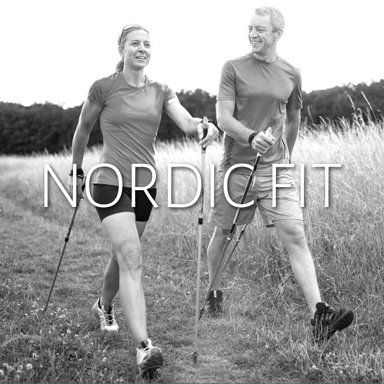 DMT25-Slidermotive_Slider_TL_Nordic_1310